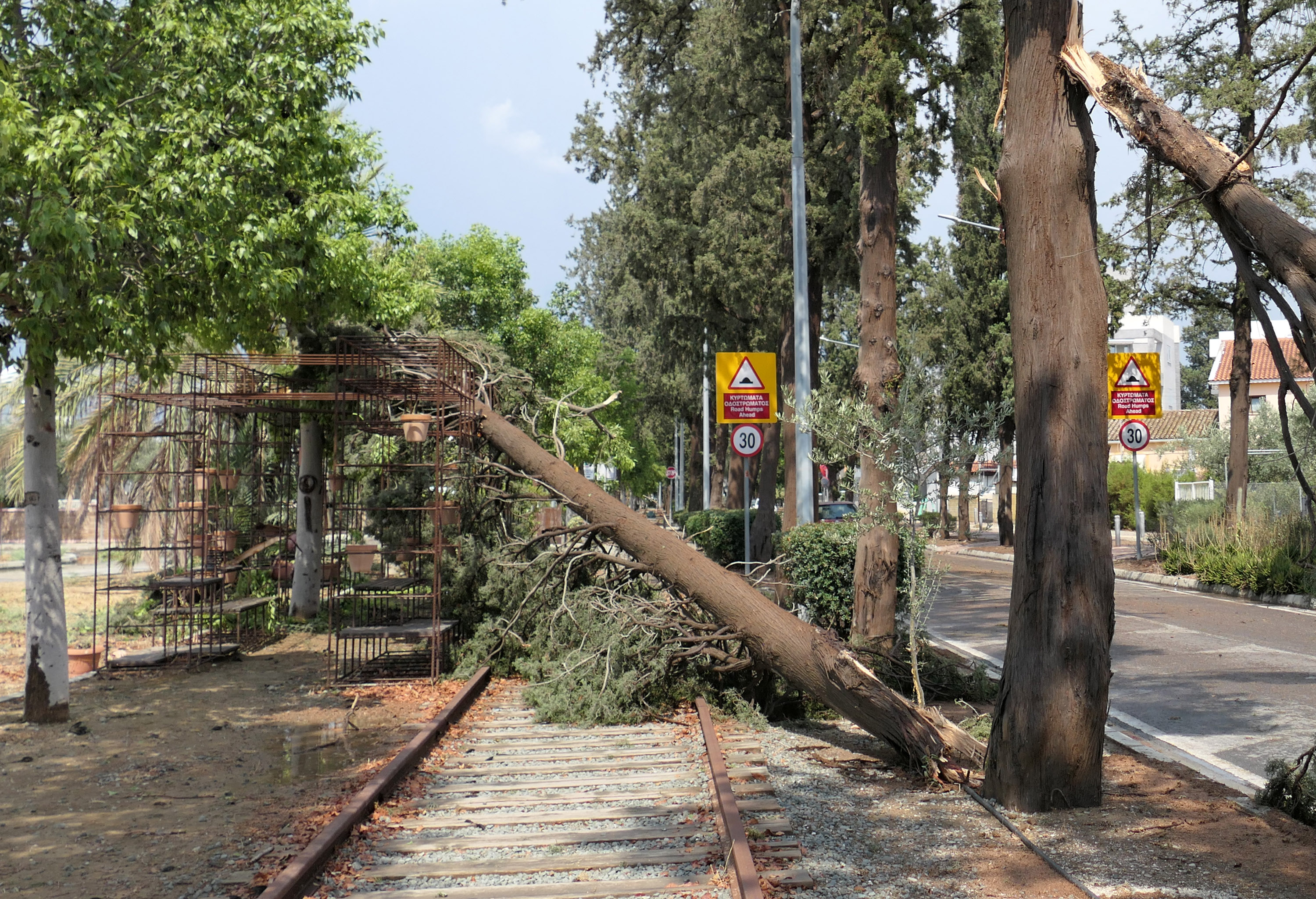 image Strong storms bring down trees, block roads