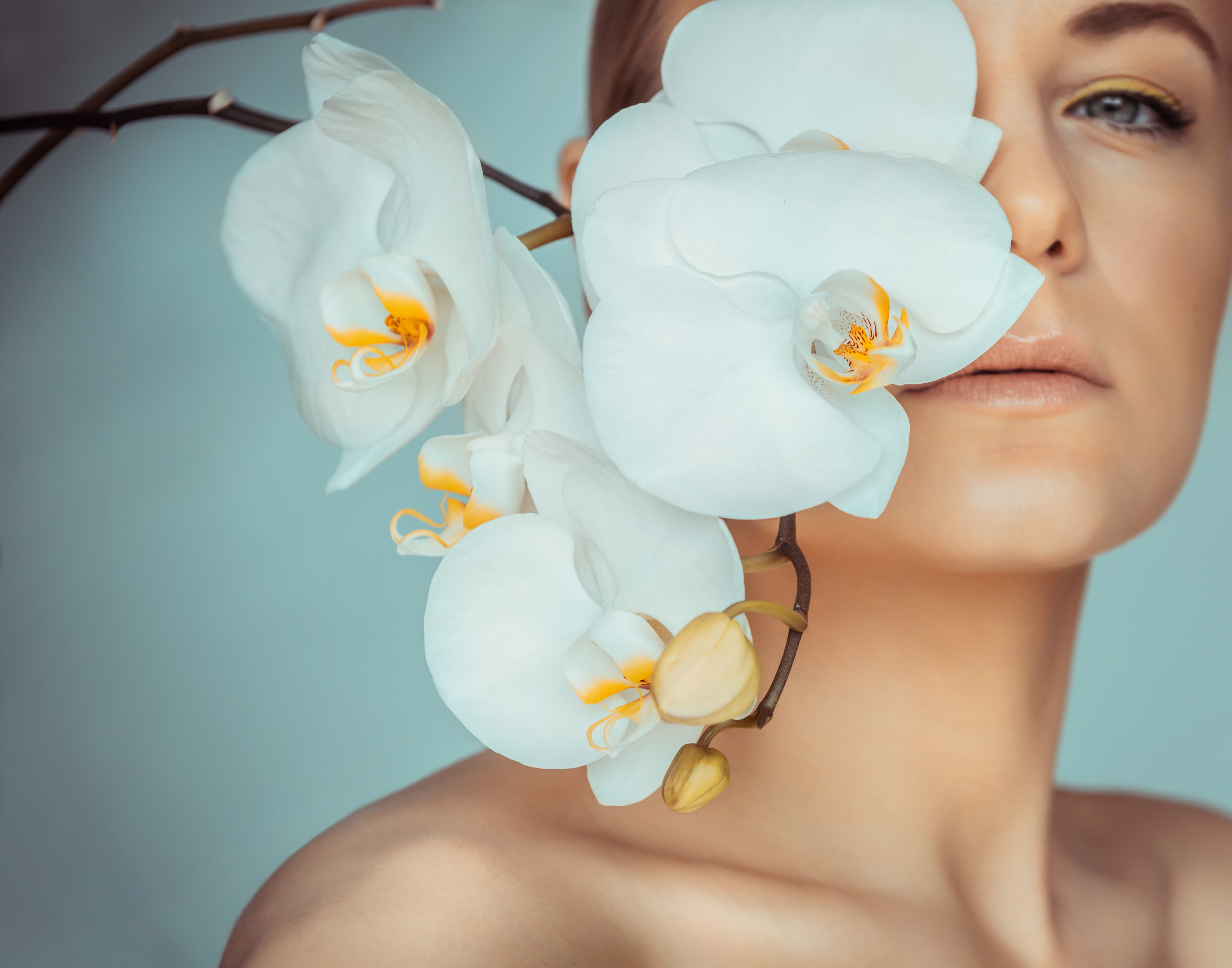 image The science of beauty