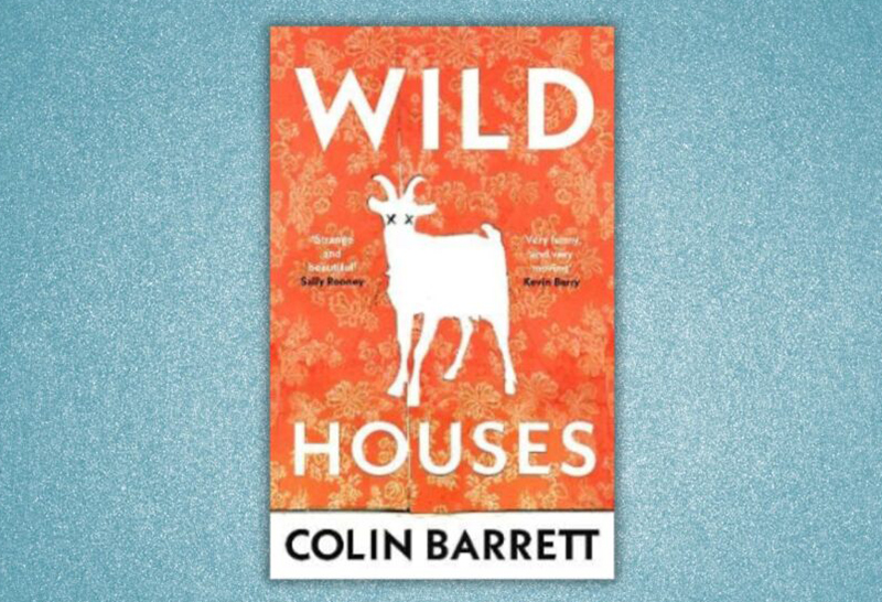 image Book Review: Wild Houses by Colin Barrett