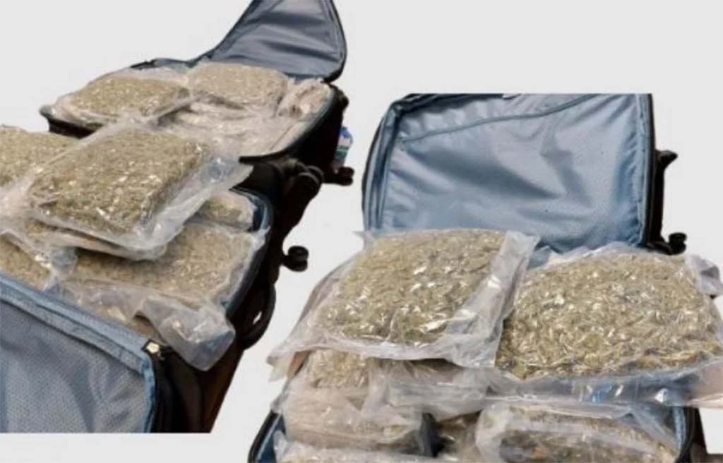 image British woman jailed for import of 16kg of cannabis