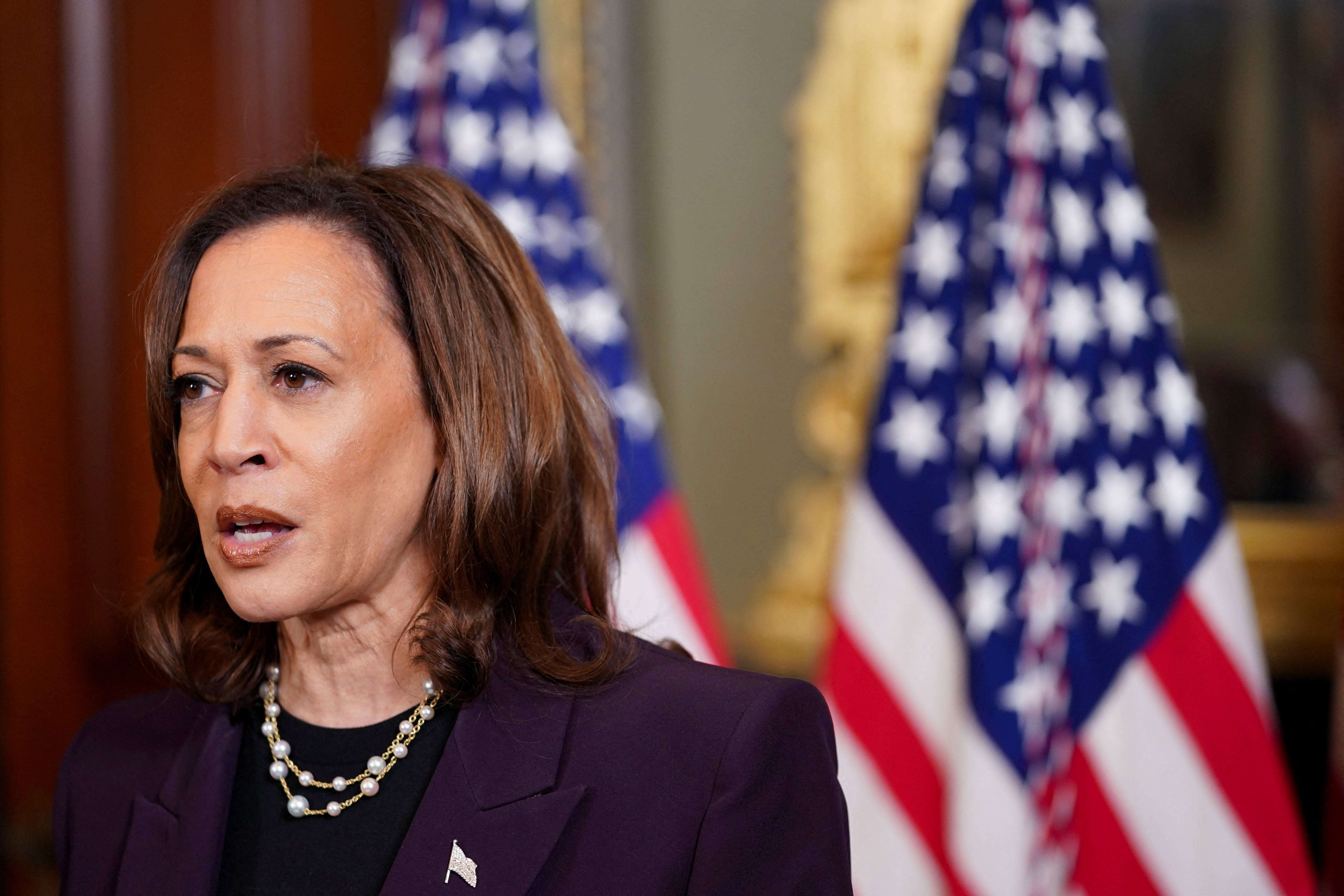 image Kamala Harris officially named Democratic nominee for US President