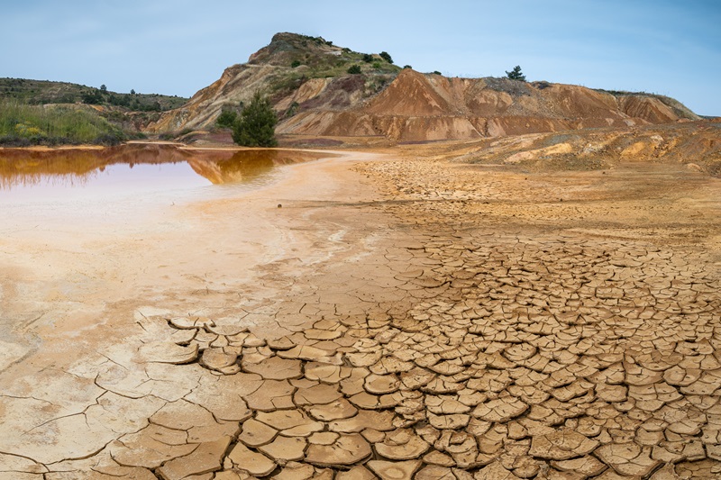 image Terrasafe seeks to save Cyprus from desertification