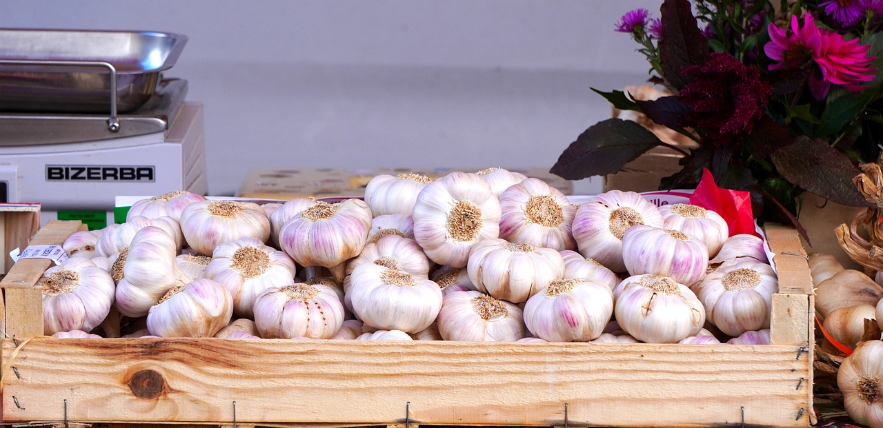 image 15 arrested for stealing 2,500 heads of garlic