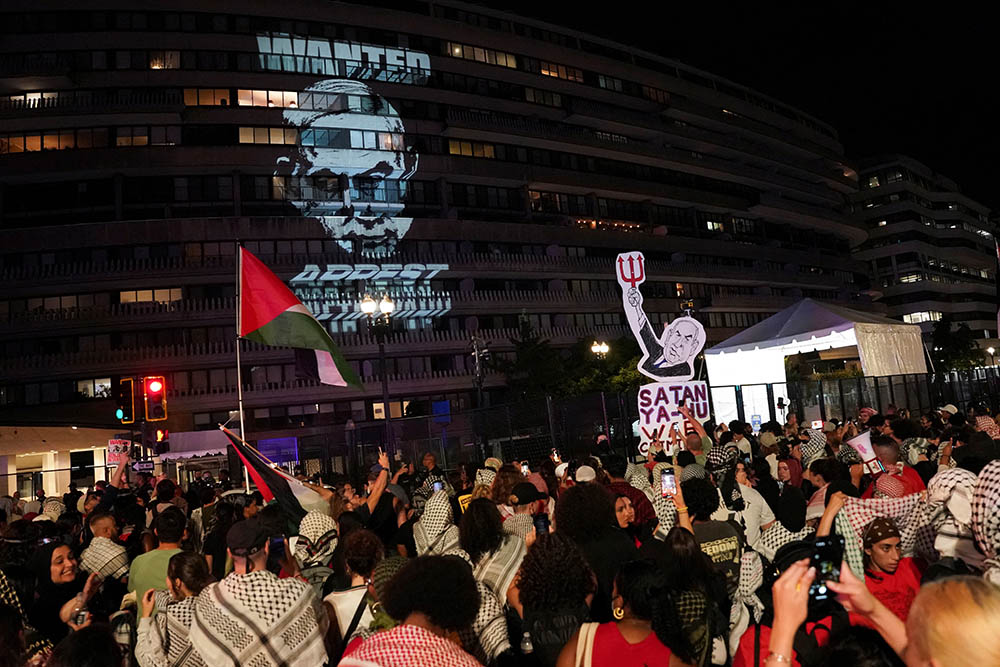 image Protesters hoist Palestinian flags in Washington during Netanyahu speech