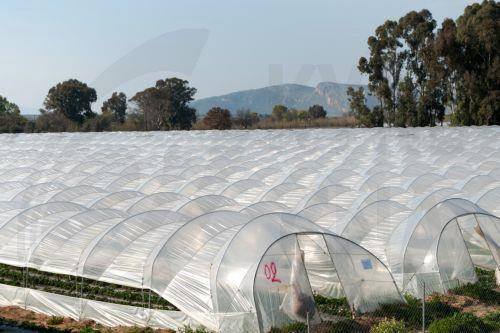 image Improved collection regulations for agricultural plastic waste