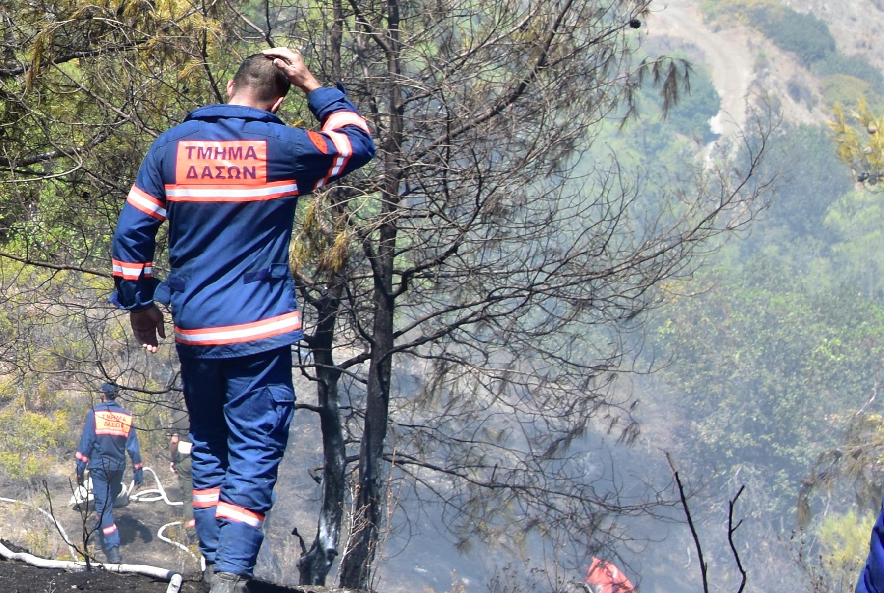 image Fires in Limassol district