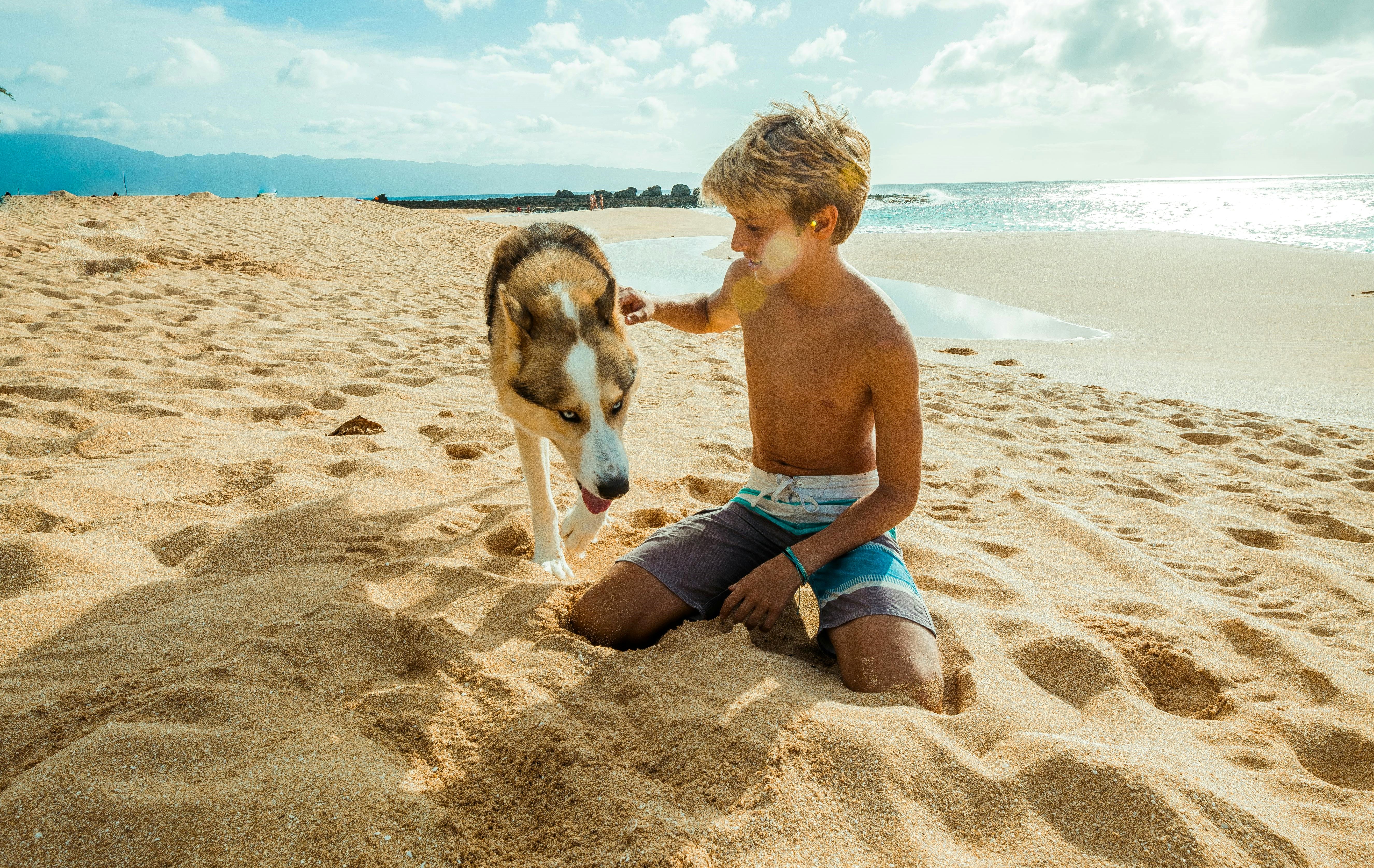 image ‘These dogs should not be in Cyprus’