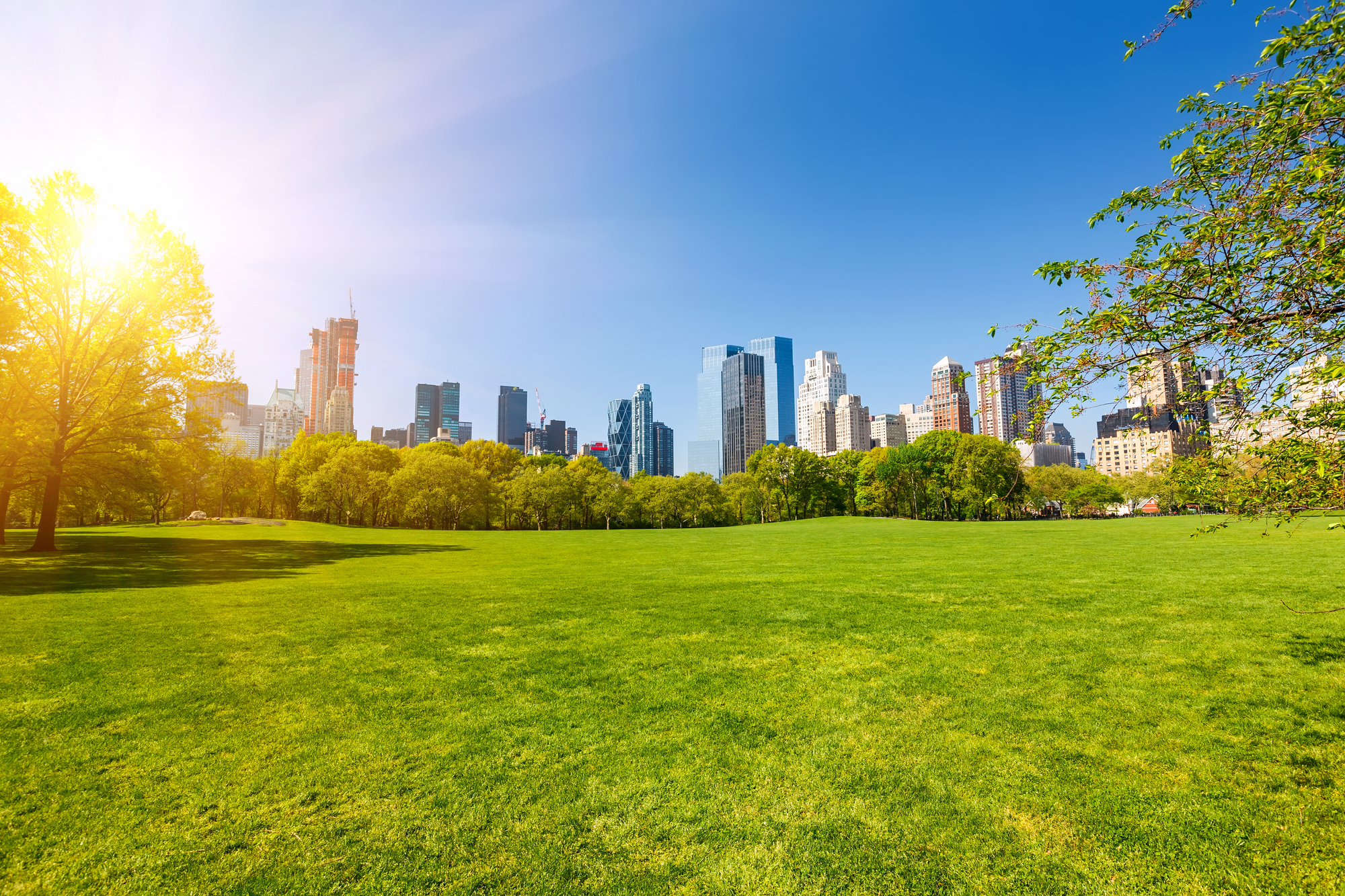 image As US heat deaths rise, some landlords oppose right to air conditioning