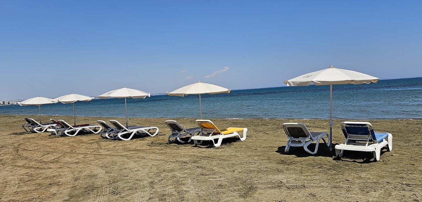 image Larnaca revamps dog beach with free facilities