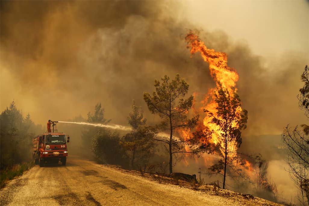 image Wildfires blaze in Turkey&#8217;s west and north