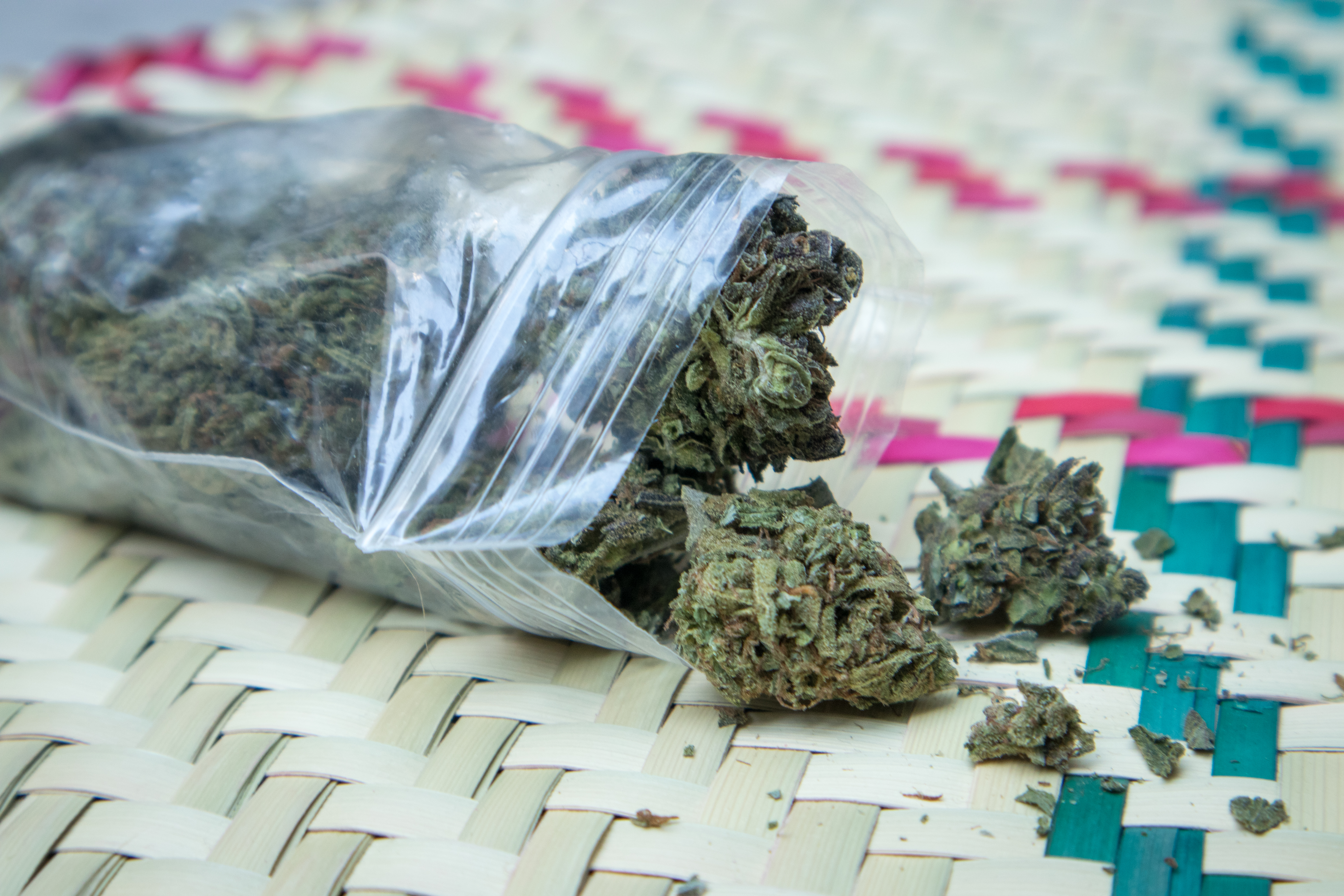 image Woman gets 16 years jail sentence after trying to smuggle 40 kg of cannabis