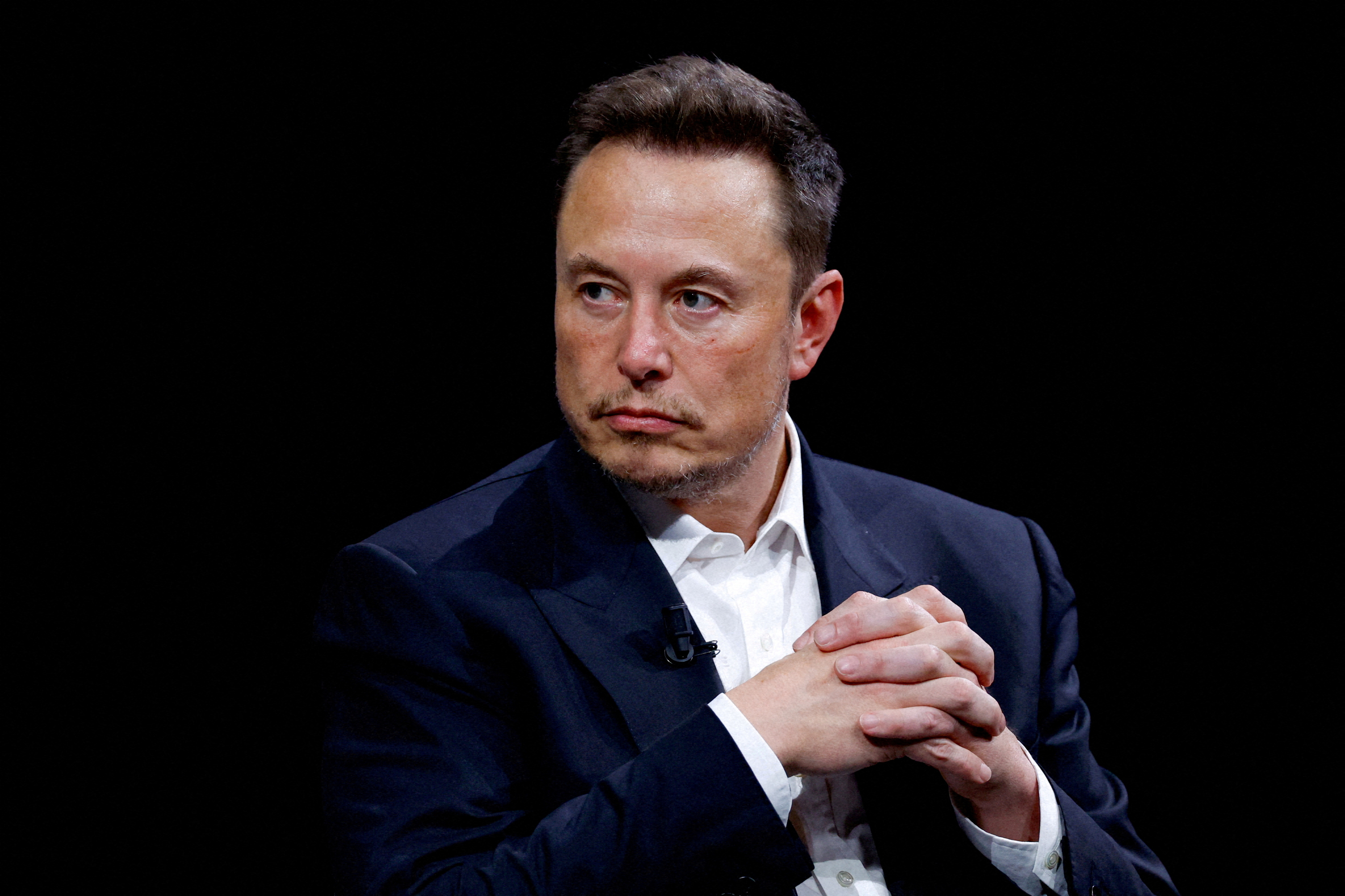 image The very precious life of Elon Musk