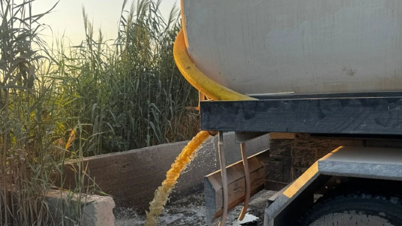 image Five fined for dumping raw sewage at Famagusta tip