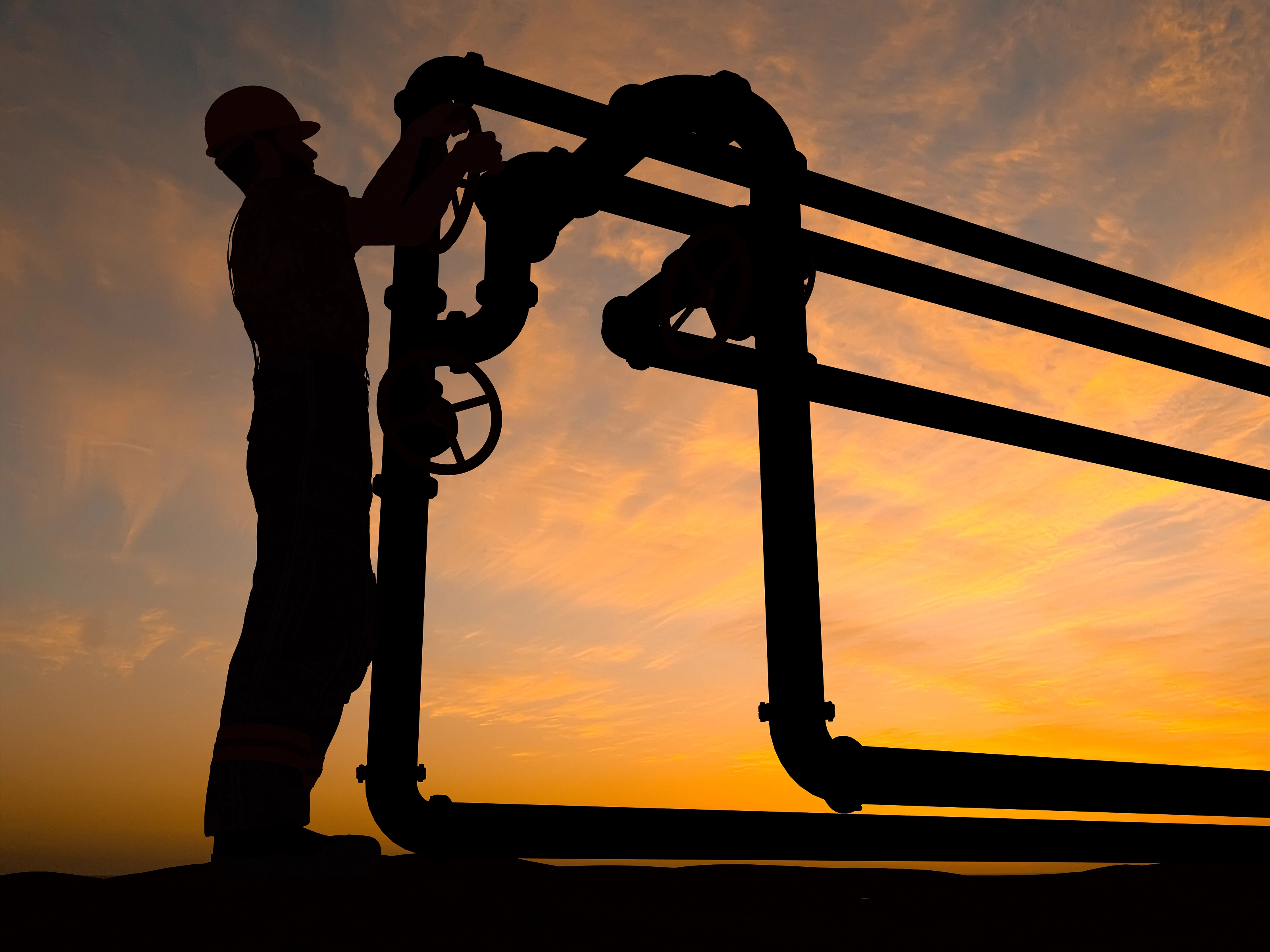 image Our View: Energy fiasco underlines that state unable to provide cost-effective solutions