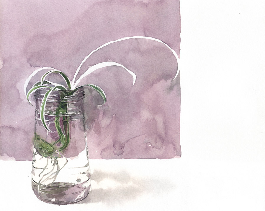 image Artist’s encounters with plants on show