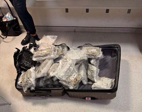 image Two remanded for 25kg of cannabis found in luggage