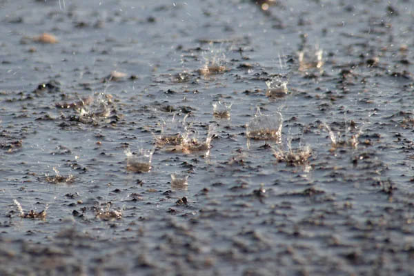 image Rains, possible hailstorms and winds expected