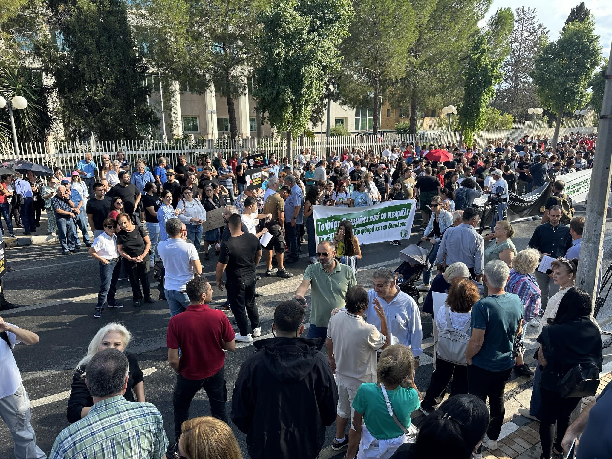 image Thousands gather to protest dismissal of auditor-general
