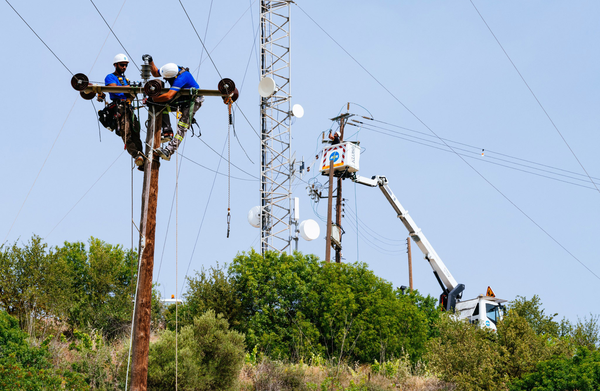 image Safety works on EAC forest cables underway
