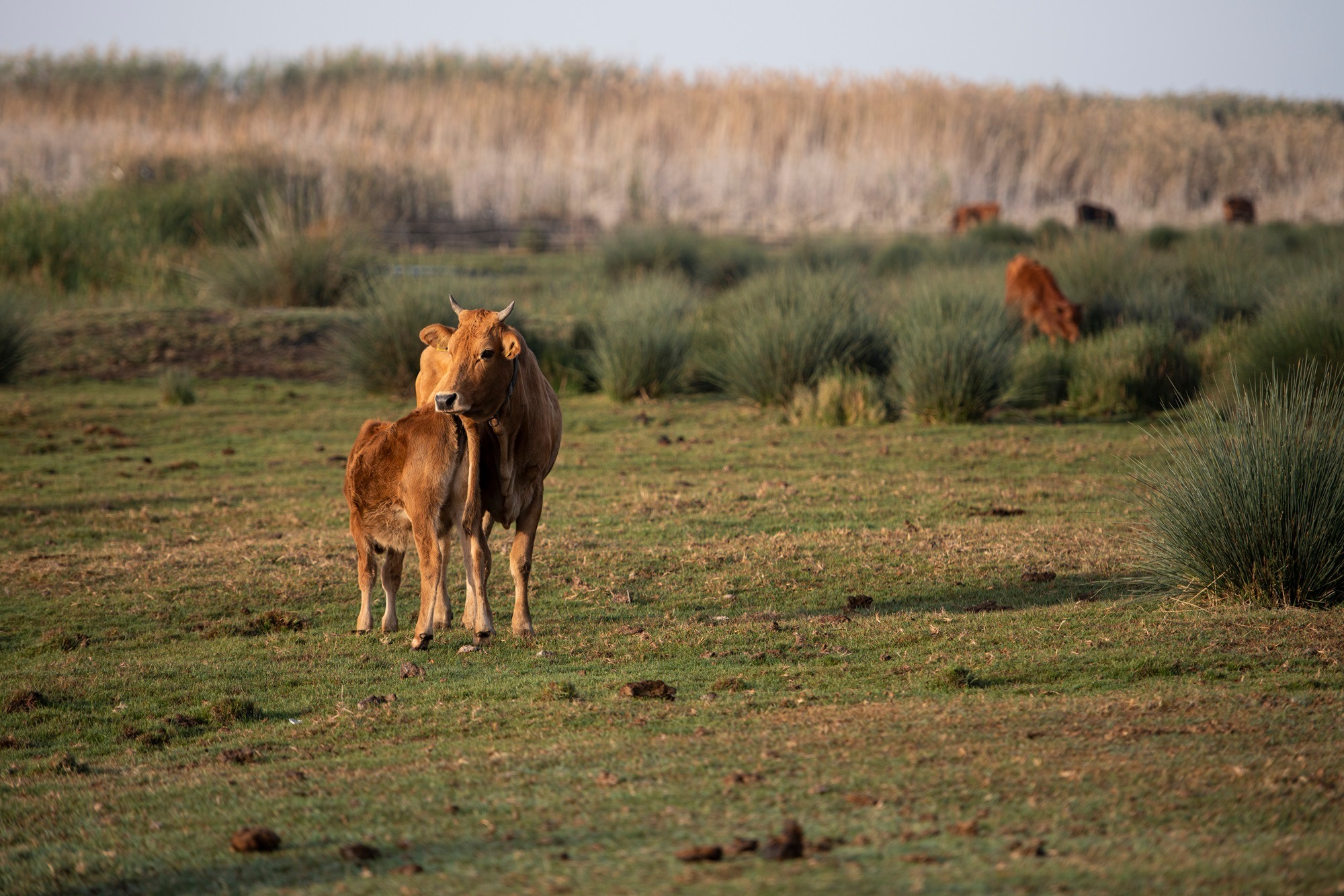 image Environmental protection project wraps in Akrotiri