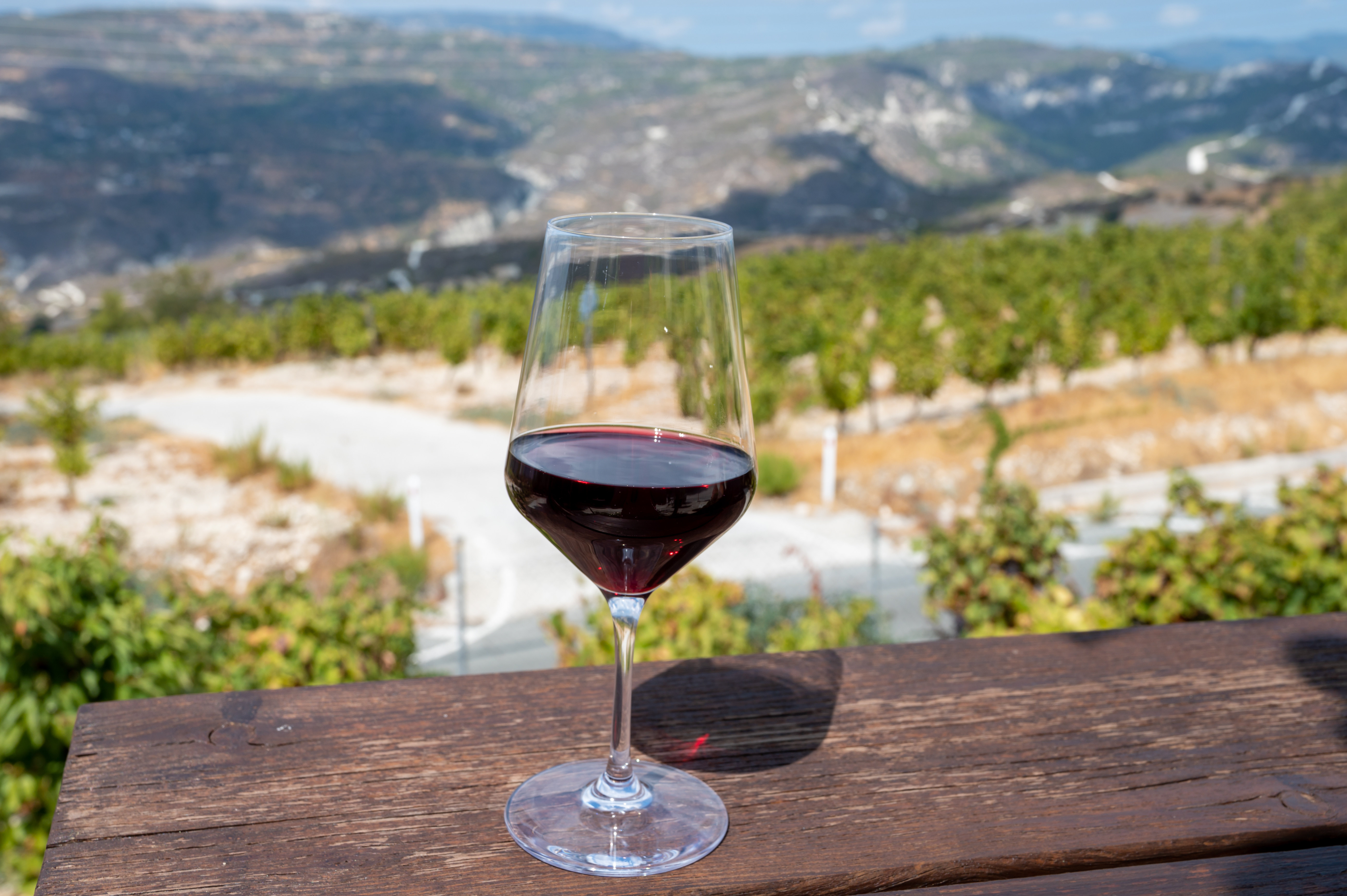 image Fewer grapes on table, less wine in glasses – extreme heat takes its toll