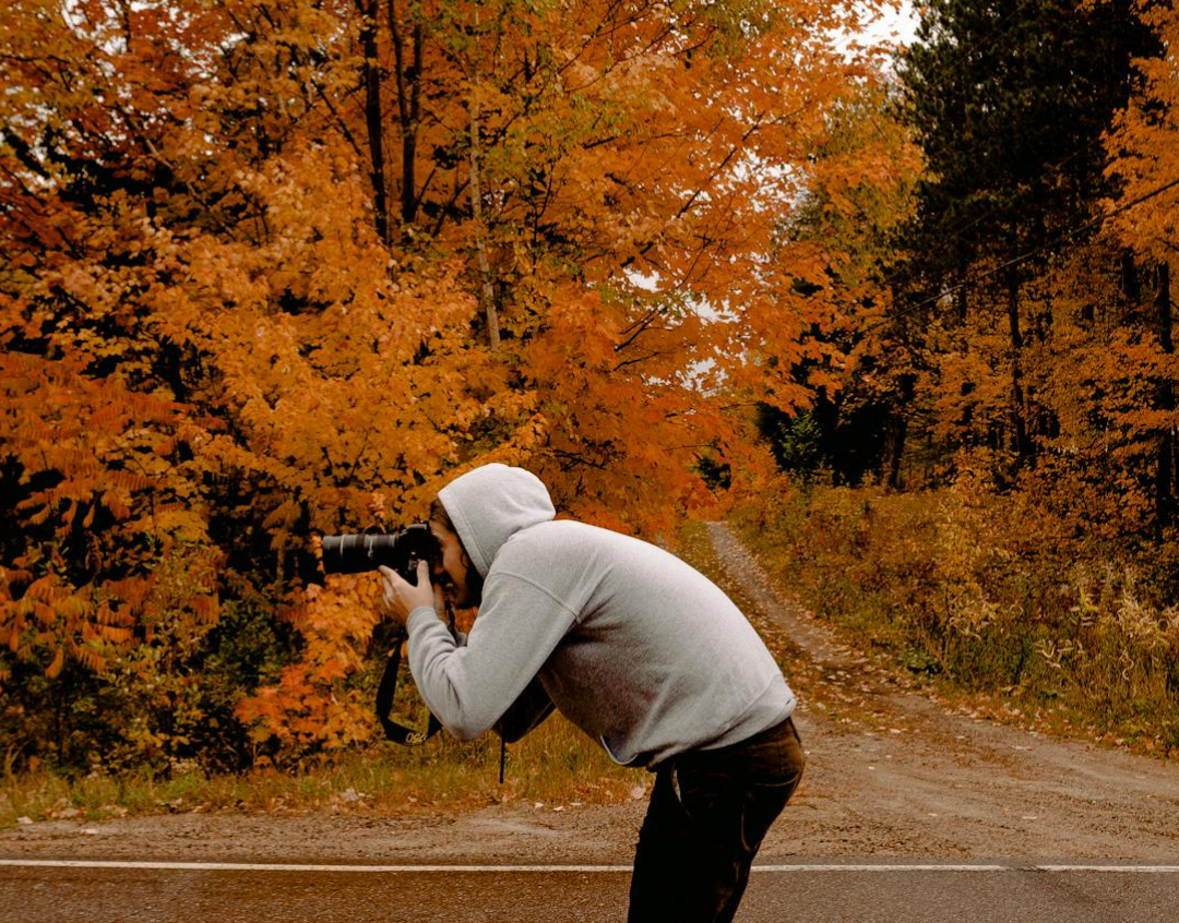 image Seasonal shifts in Cyprus: Embrace autumn with Feng Shui and Greek philosophy