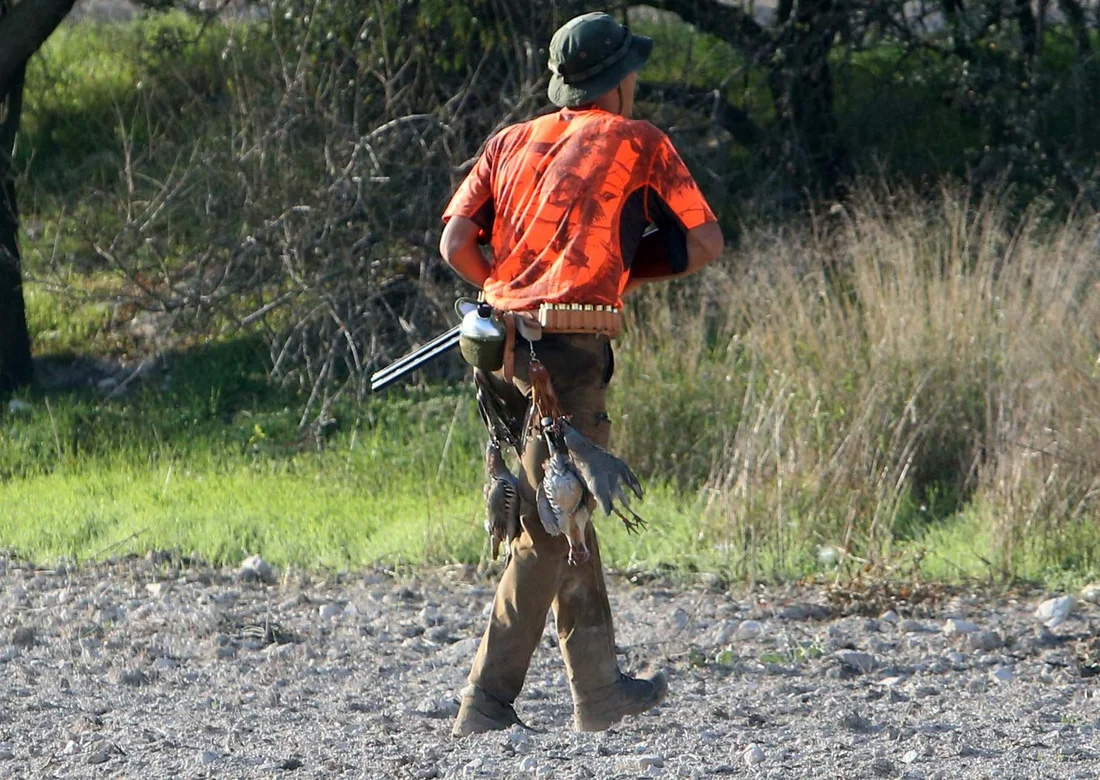 image Paphos teen arrested for hunting in restricted area
