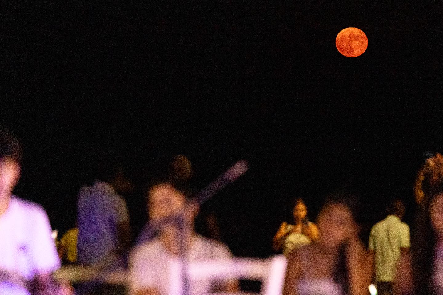 image MoonWalk brings live music to the beach