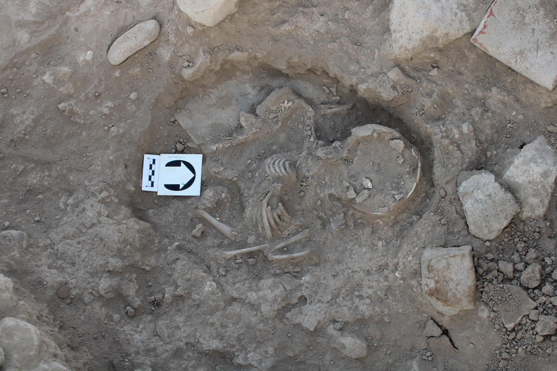 image Unusual 5,000-year-old burial excavated in Paphos
