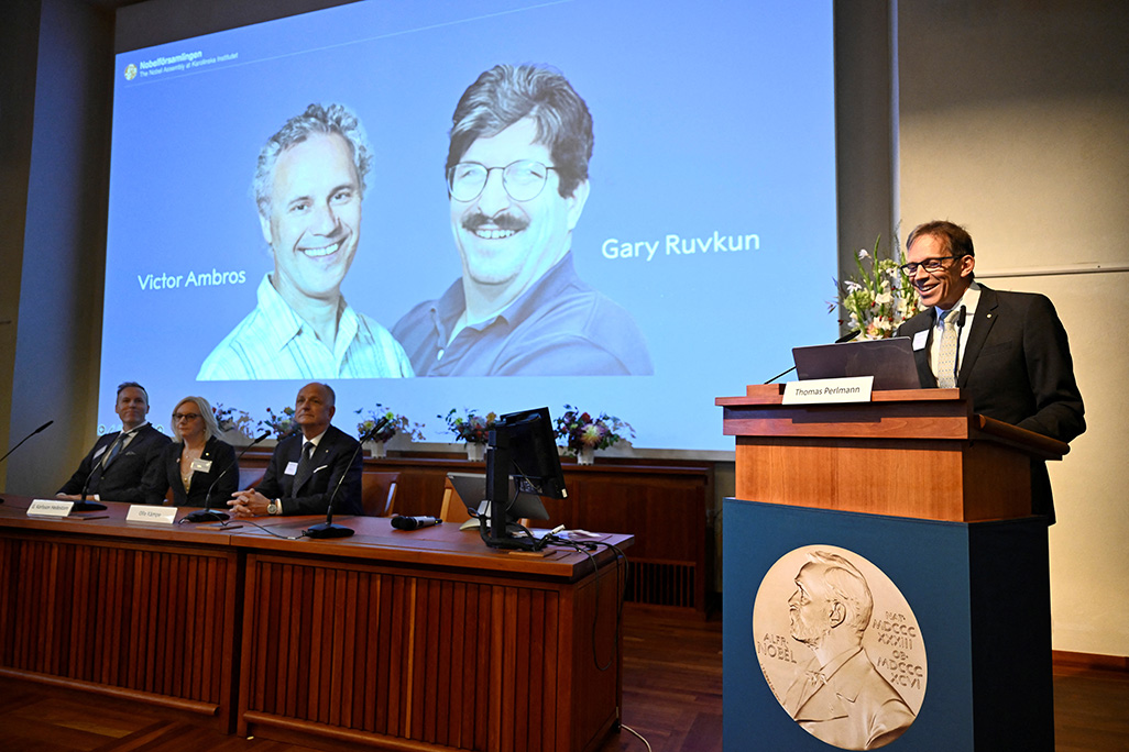 image Nobel prize for medicine goes to US duo