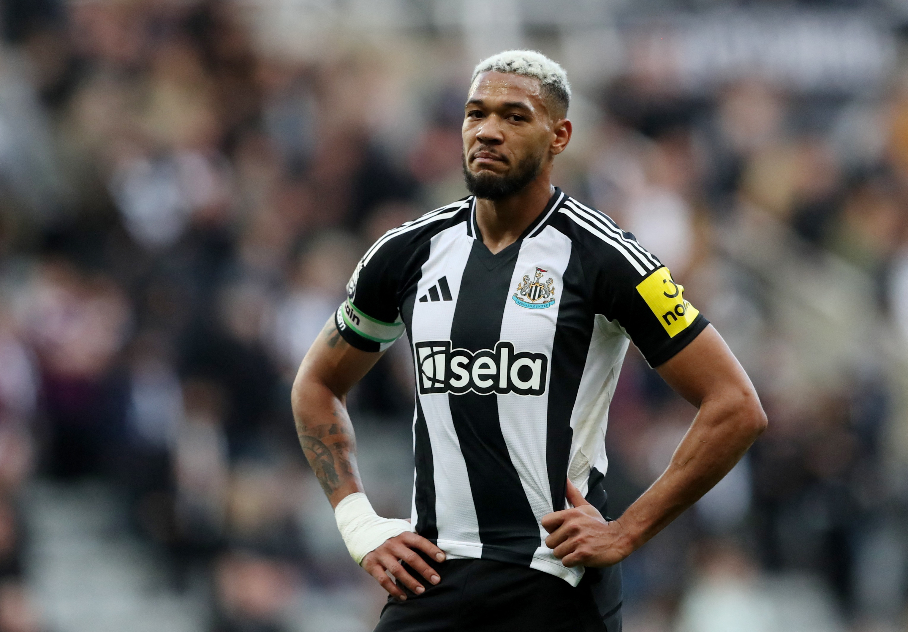 image Brighton punish wasteful Newcastle in 1-0 away win