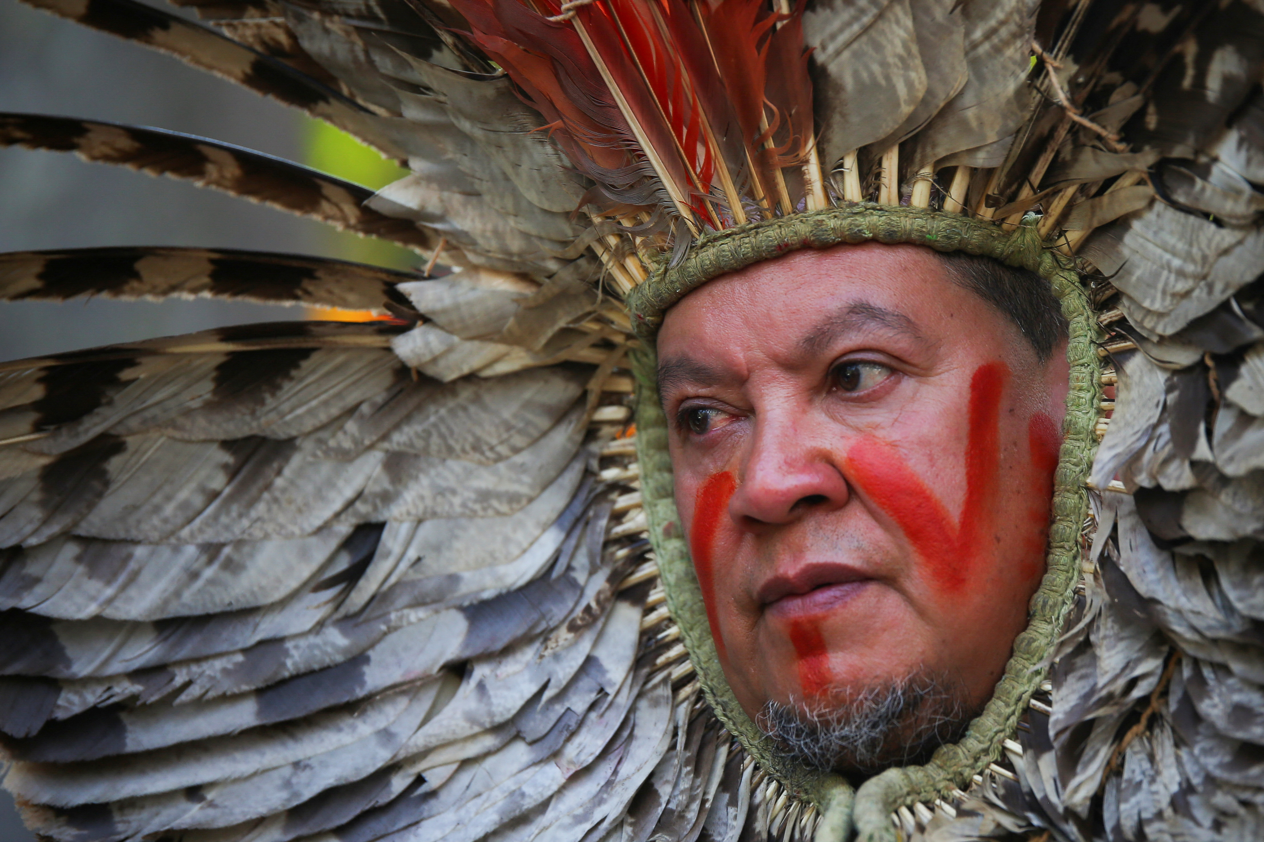 image World lags on 2030 nature goals headed into UN COP16 talks