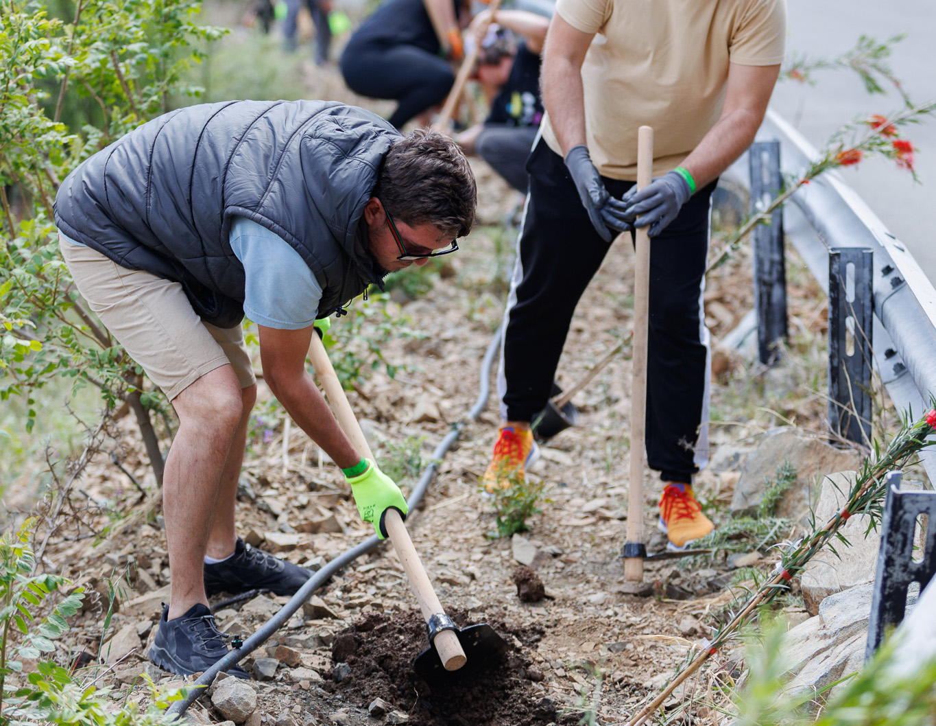 image Festival to restore nature, reconnect with environment