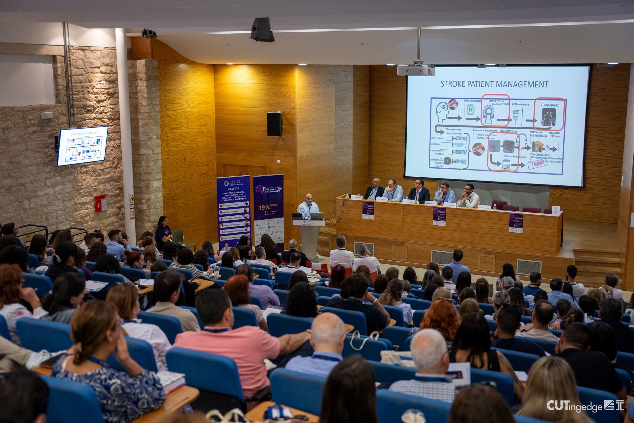 image Limassol conference focuses on severe stroke treatment