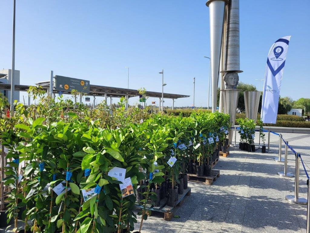 image Hermes airport giving out free trees to the public