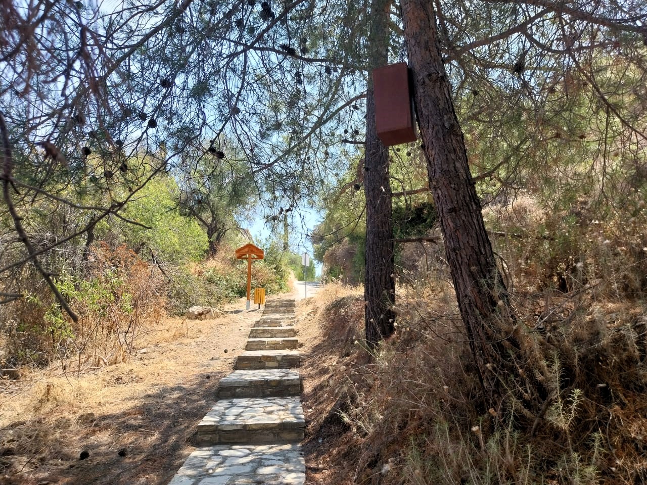 image Bees focus of Larnaca’s celebration of mountains