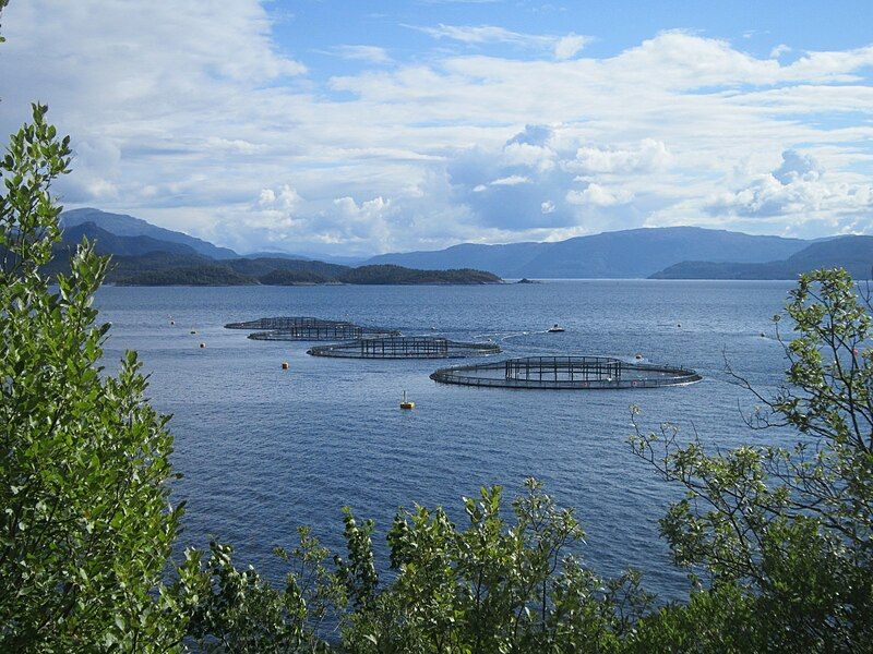 image Millions to be spent on developing aquaculture
