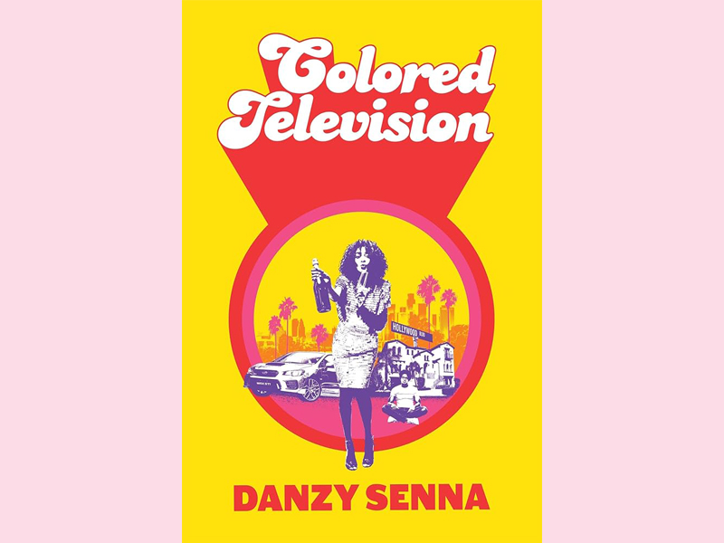 image Book Review: Colored Television by Danzy Senna