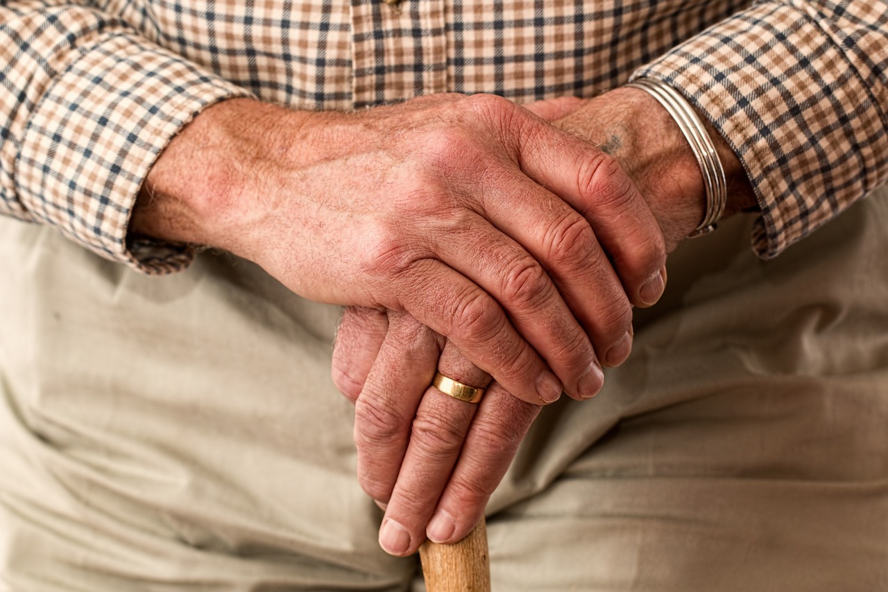 image Government unveils national strategy for elderly wellbeing