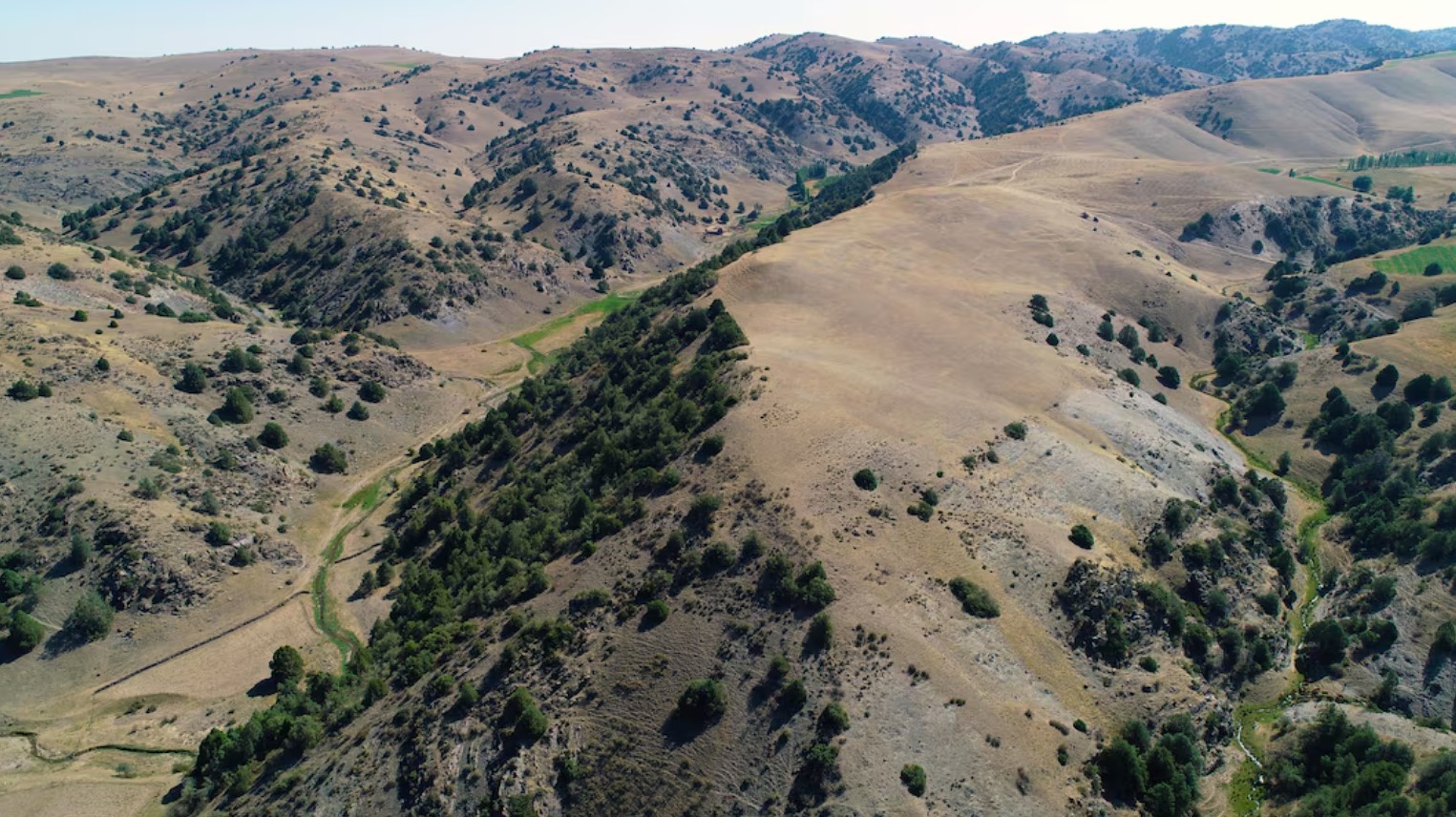 Researchers excavate medieval pottery at the newly rediscovered medieval Silk Road city Tugunbulak located in the mountains of southeastern Uzbekistan June 8, 2022 Michael Frachetti/Handout via REUTERS./File Photo