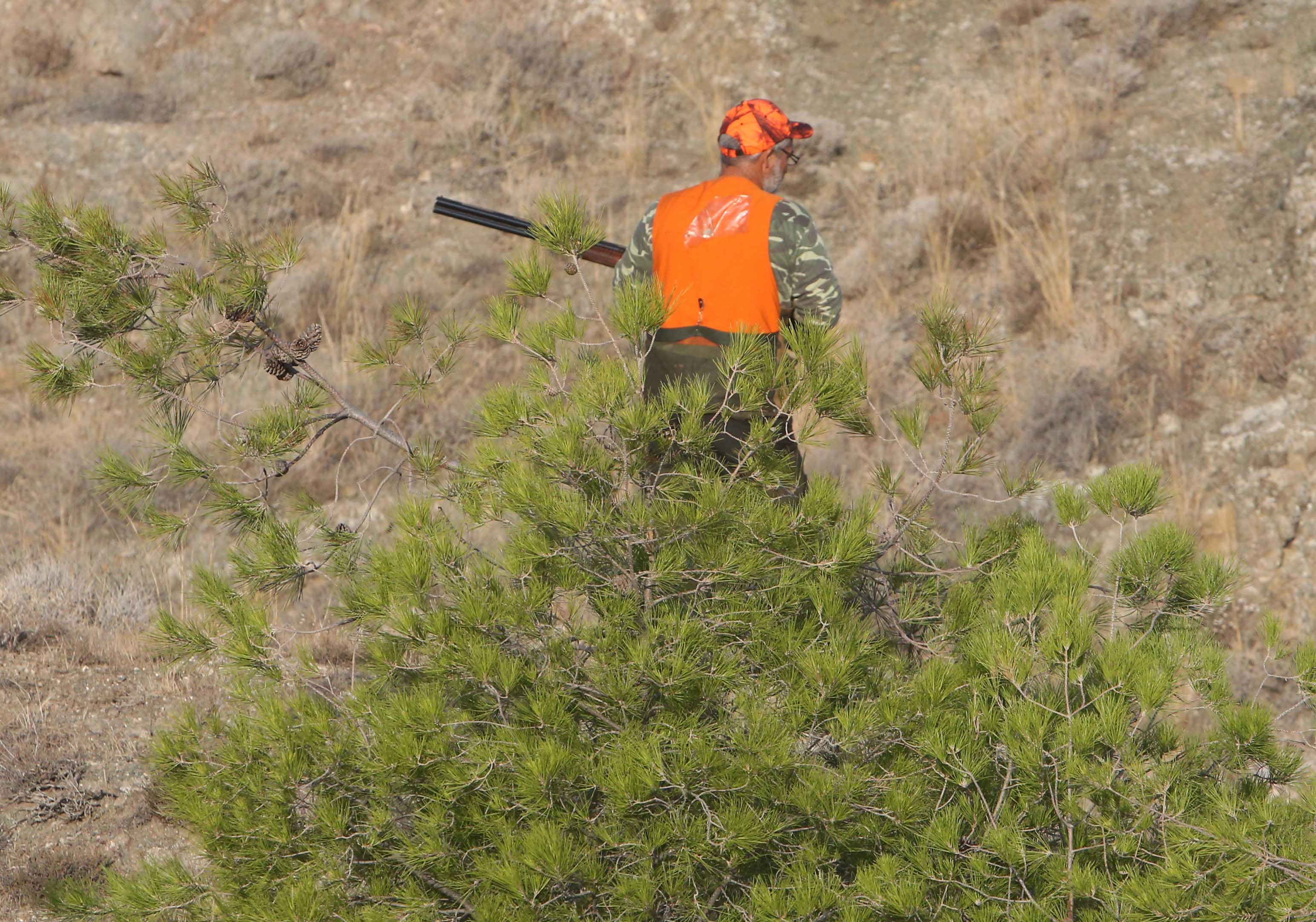 image Man caught hunting without licence