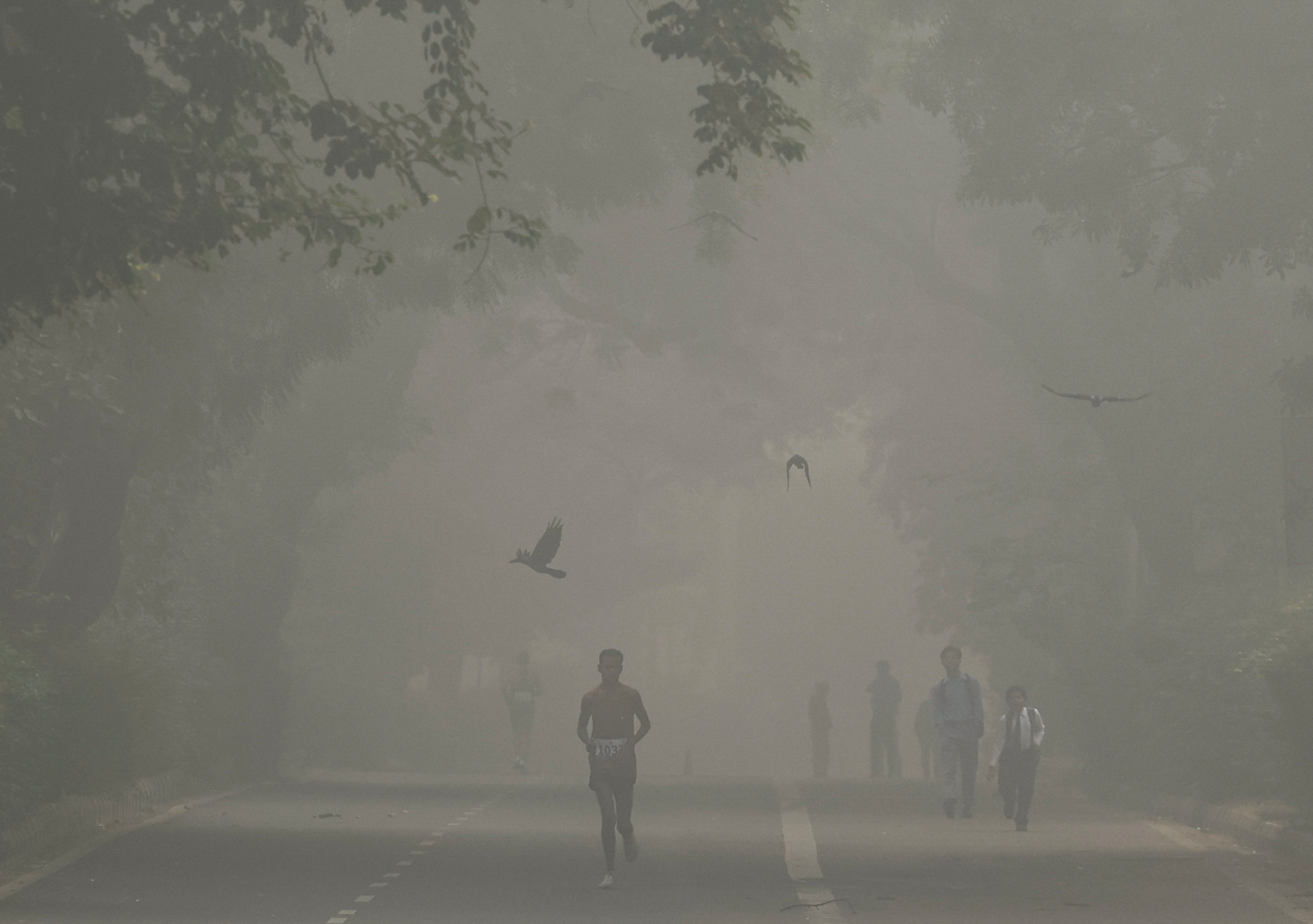 image India&#8217;s toxic smog cuts off visibility in several areas