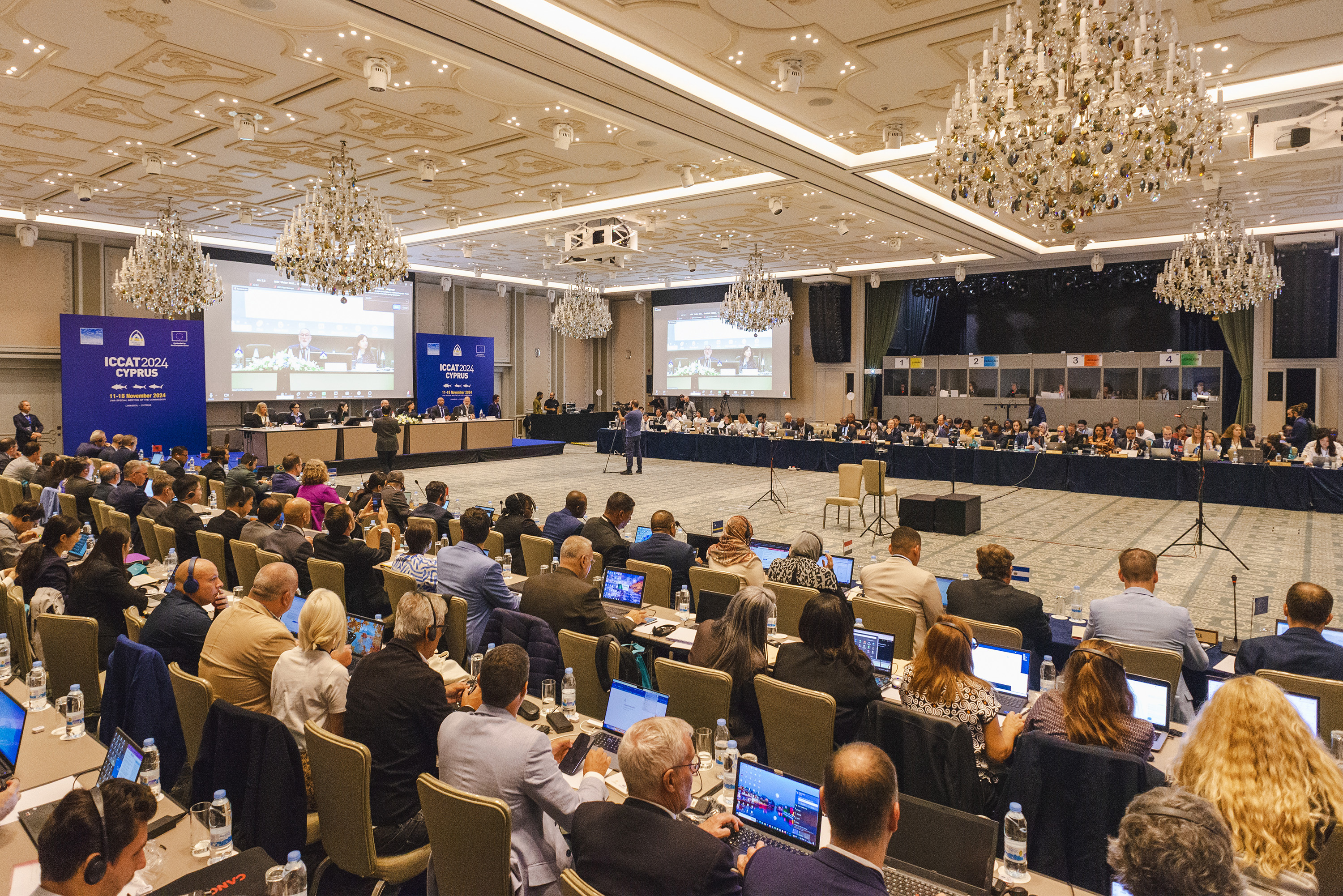 image Cyprus reaffirms sustainable fishing commitment