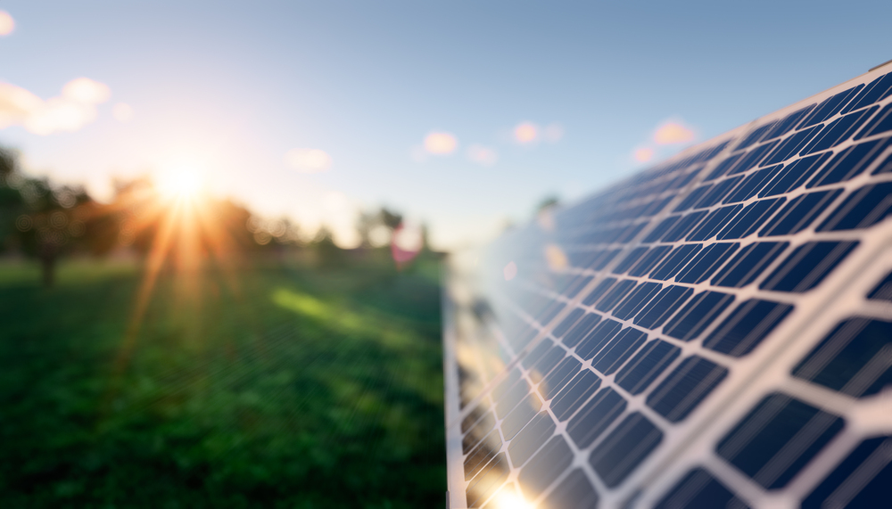 image Investing in solar power pays off as farmers go green 
