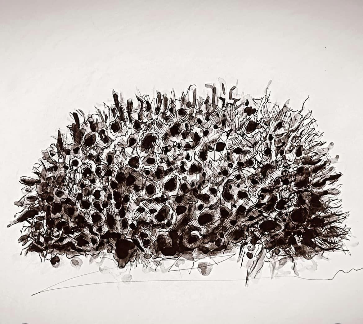 image Inspiration hides in plain sight at Nicosia exhibition
