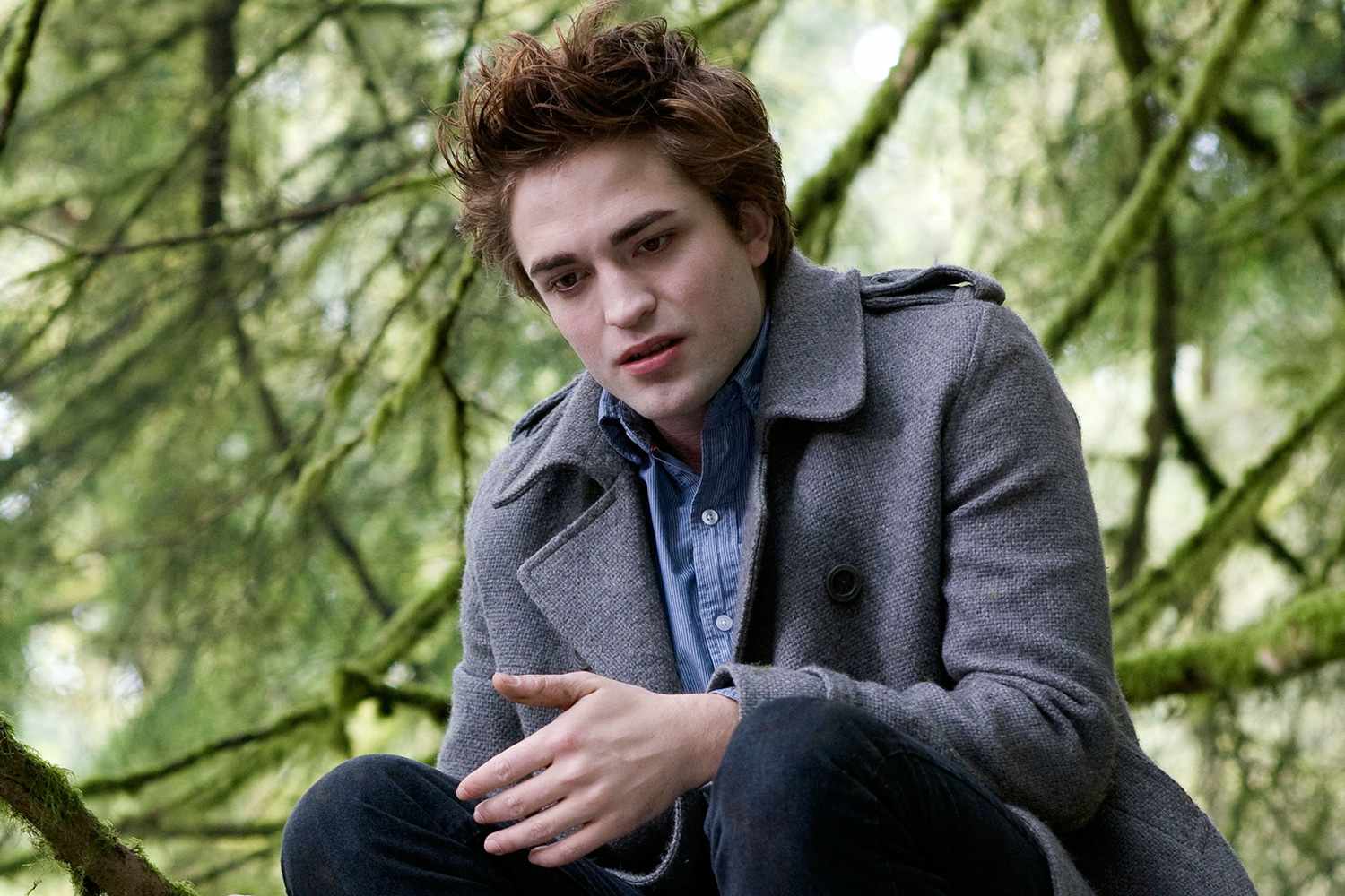image Stars who trashed their own movies