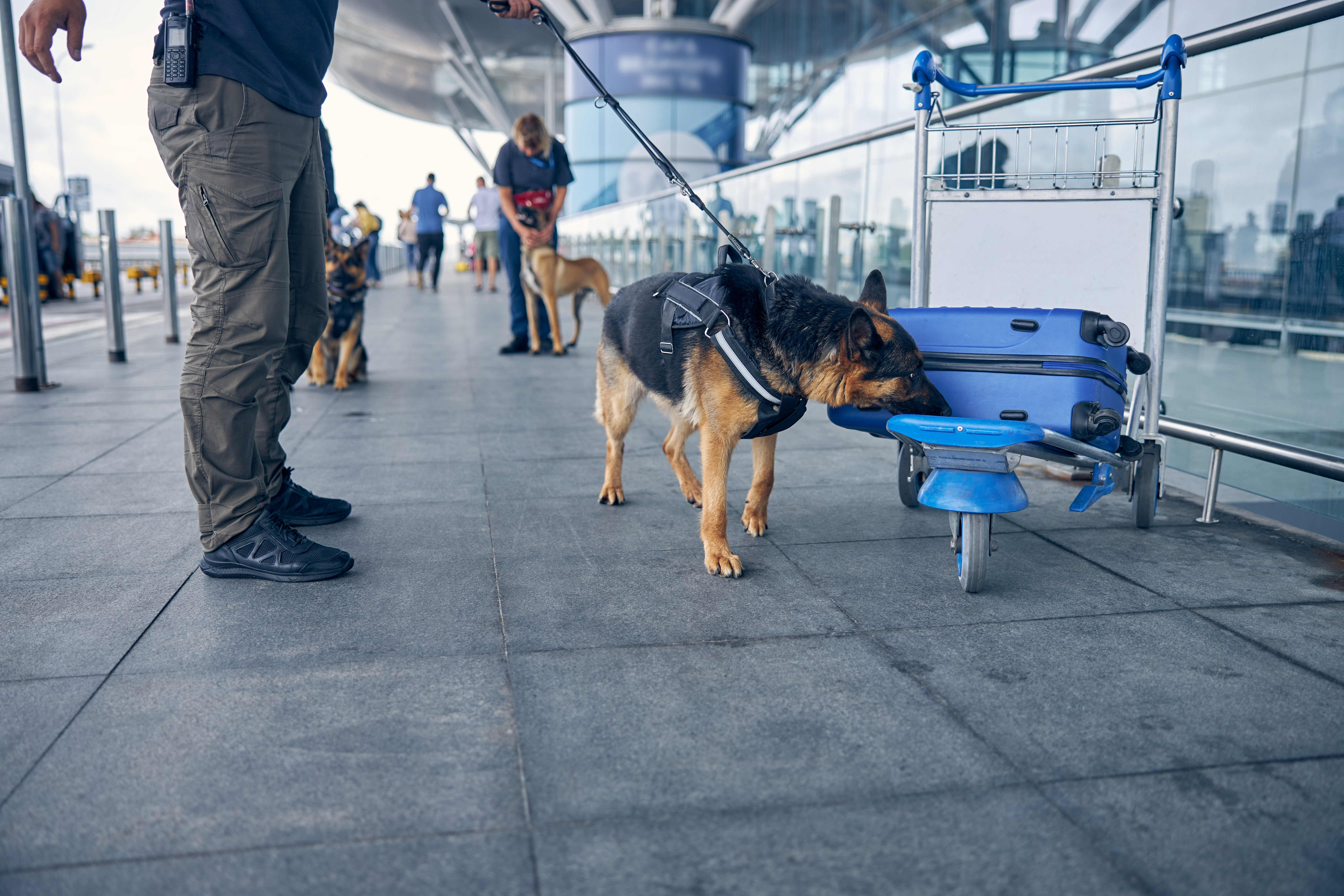 image Passenger arrested at Larnaca airport for smuggling drugs