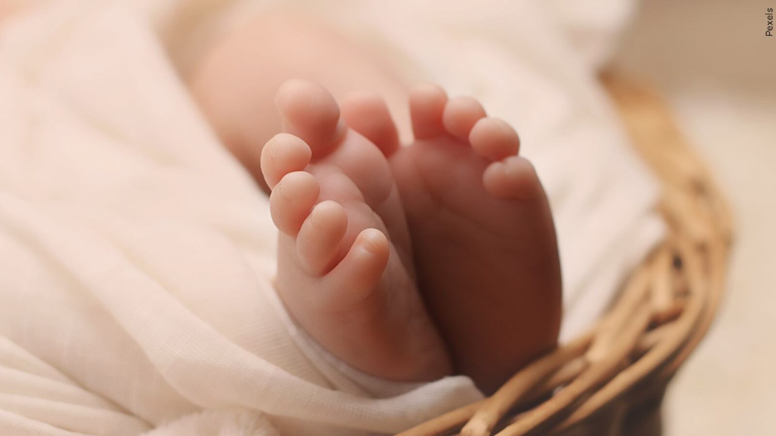 image Peo criticises lack of dialogue on new demographic measures