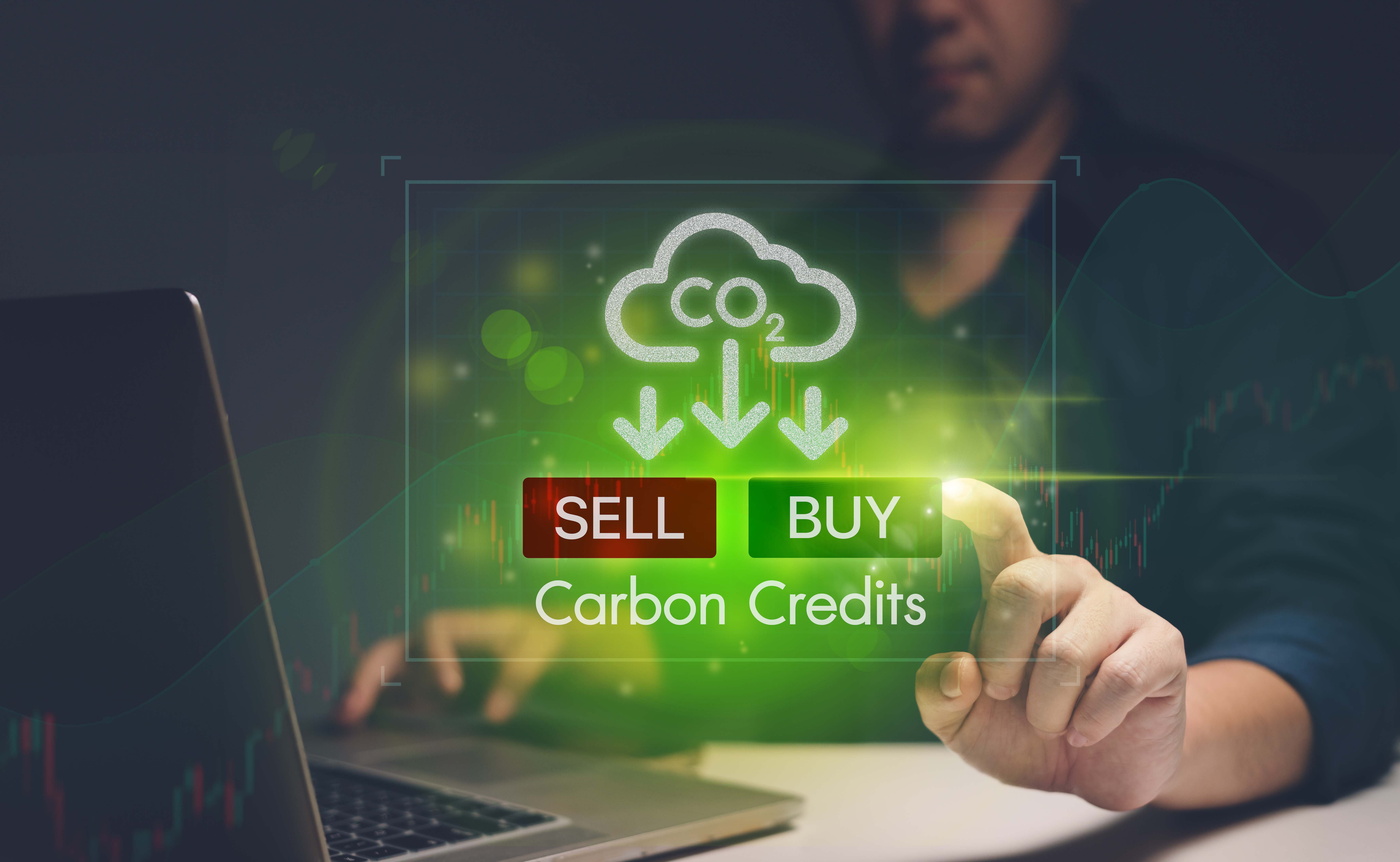 image Can a COP29 deal clean up scandal-ridden carbon offsets?