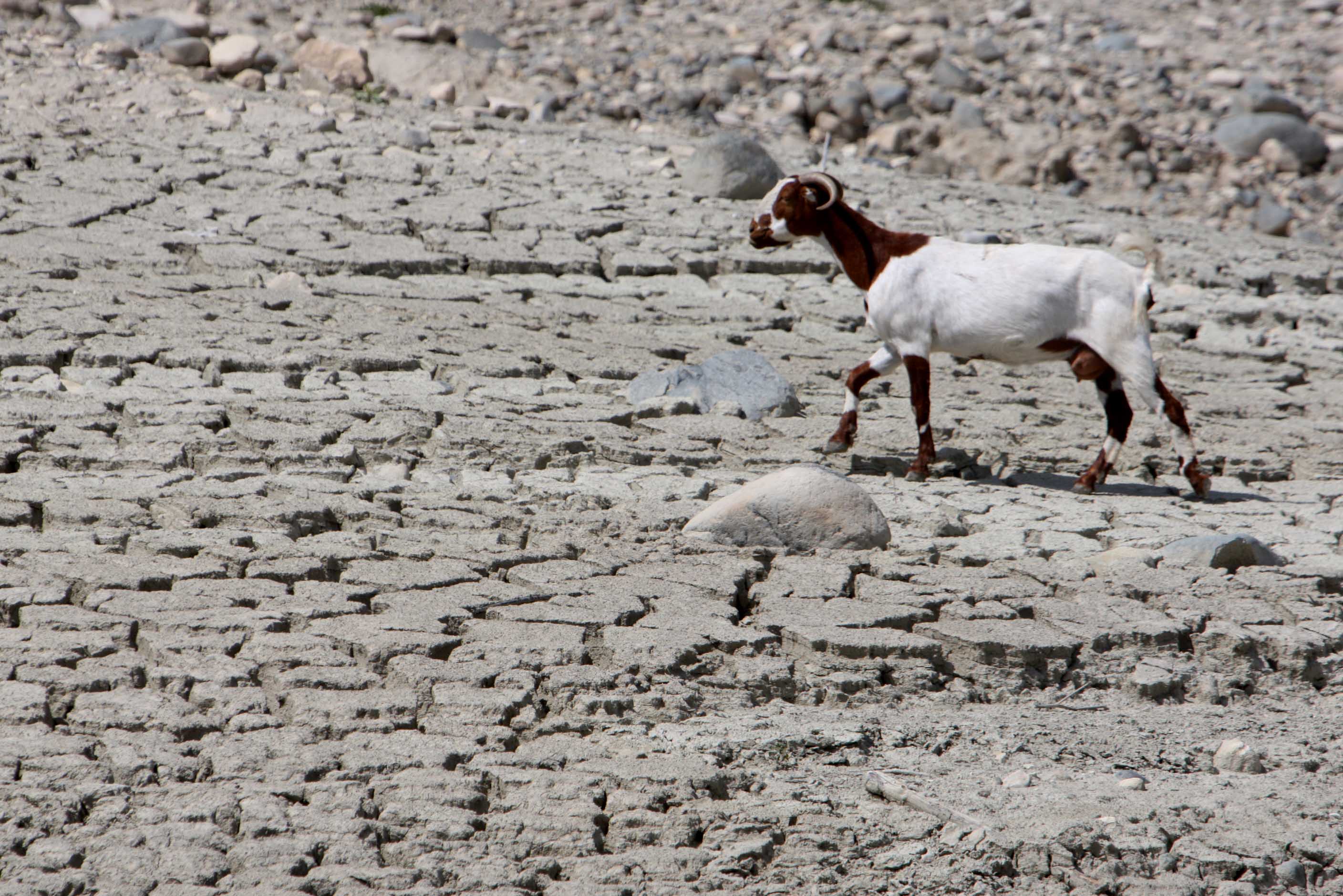 image March rainfall predicted to be exceptionally low